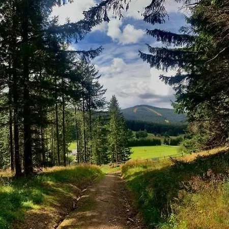 Salamandra Uno Строне-Слёнске