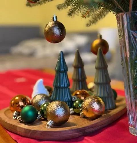 Salamandra Uno Stronie Slaskie